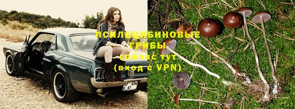 тгк Магадан