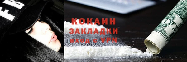 гидра Бердск