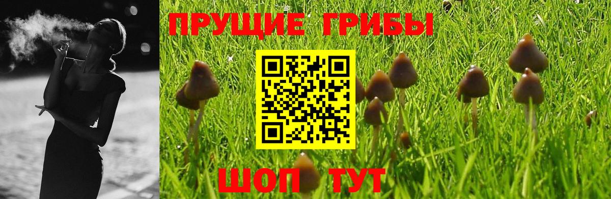 Псилоцибиновые грибы Cubensis  дарнет шоп  Морозовск  Вход с VPN 