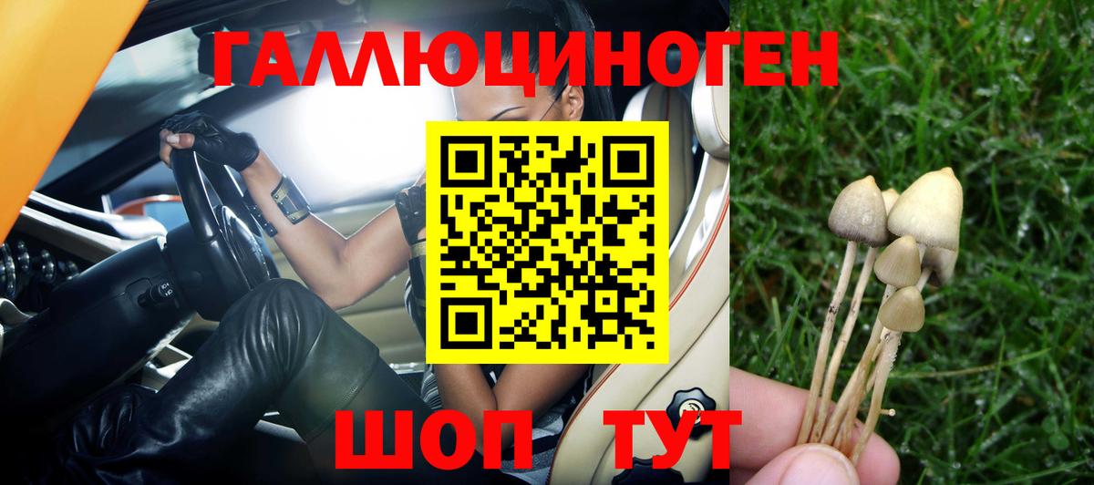 Псилоцибиновые грибы MAGIC MUSHROOMS  Морозовск 